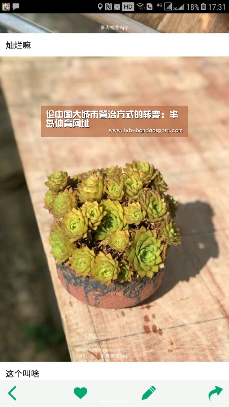 论中国大城市管治方式的转变:半岛体育网址(图1) 论中国大城市管治方式的转变:半岛体育网址(图1)