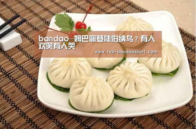 半岛体育网址