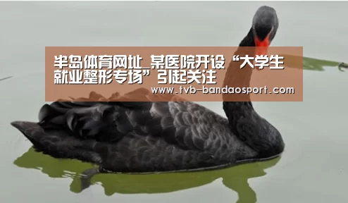 半岛体育官网