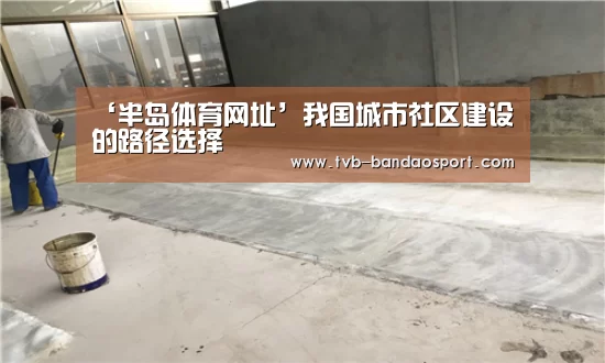 ‘半岛体育网址’我国城市社区建设的路径选择(图2)