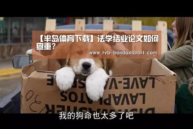 半岛体育