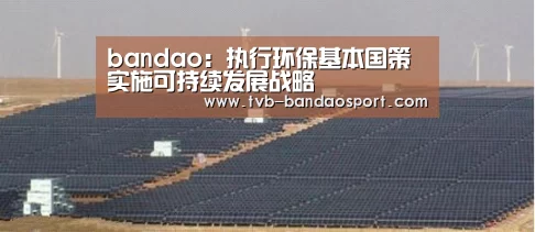 半岛体育网址